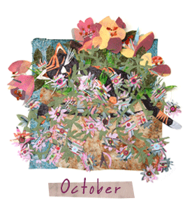 Annie's Holland October collage